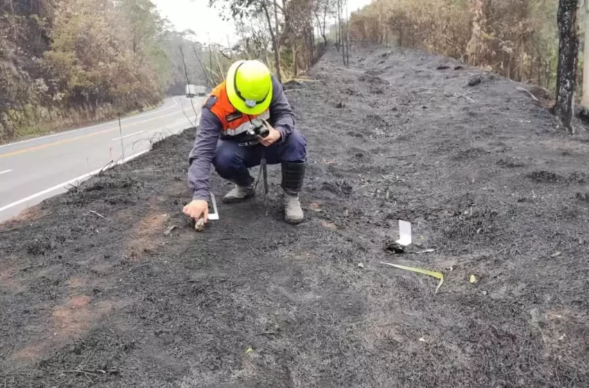  Defesa Civil de Várzea Paulista identifica pontos onde fogo pode ter começado na Serra do Mursa